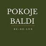 Guest house Baldi Benelux 3*