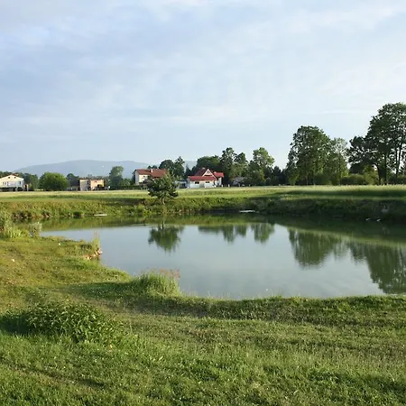 Baldi Benelux Skoczów