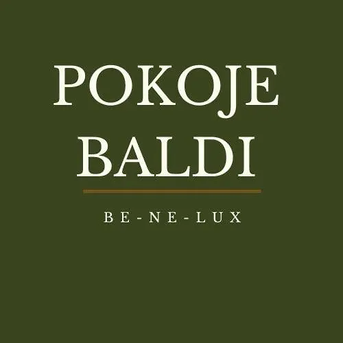 بيت ضيافة Baldi Benelux 3*