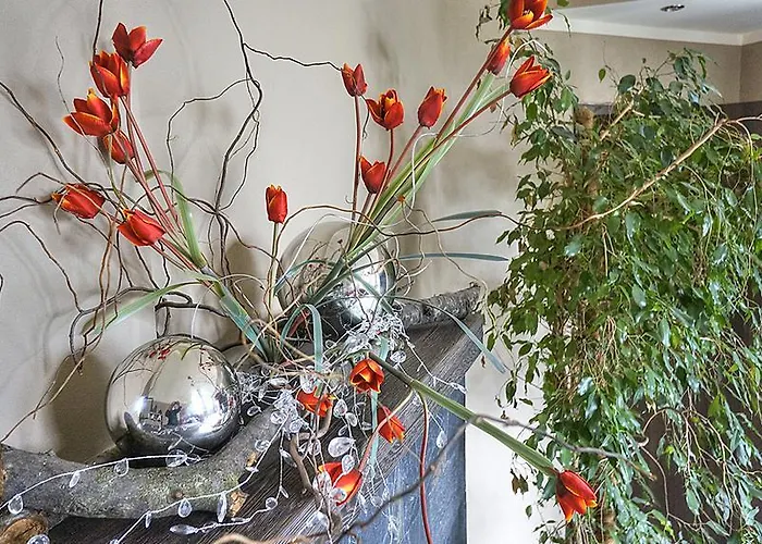 Baldi Benelux Skoczów