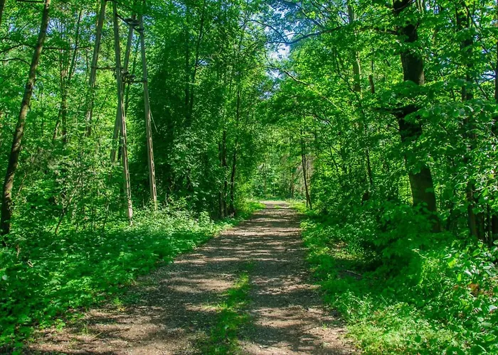 بيت ضيافة Baldi Benelux Skoczów